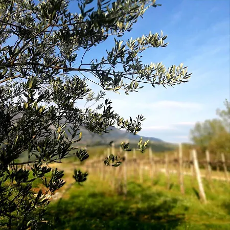 krevet i doručak Country House Nova Gorica